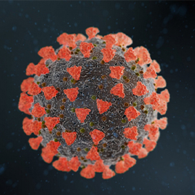 Bild-Coronavirus-Kopie.jpg 